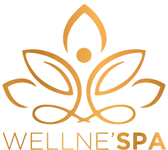Fabricant magasin de spa sauna spécialisé dans le WellNess ROQUEBRUNE S/ ARGENS 83 Wellne'Spa