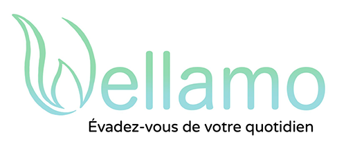 Vente de Spa et sauna spécialiste wellness à Manosque Manosque 04100 Wellamo