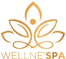 Fabricant magasin de spa sauna spécialisé dans le WellNess ROQUEBRUNE S/ ARGENS 83 Wellne'Spa
