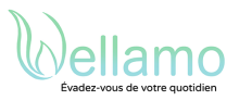 Vente de Spa et sauna spécialiste wellness à Manosque Manosque 04100 Wellamo